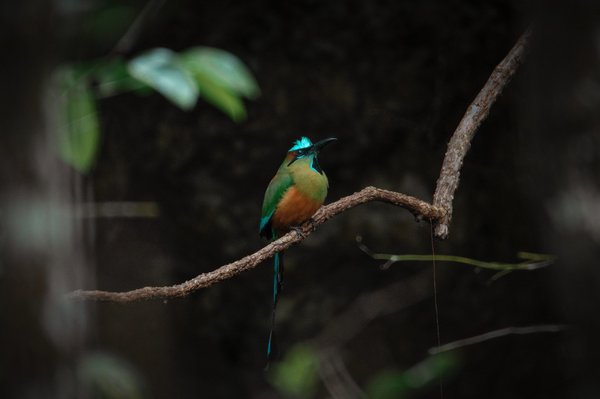 What Are the Key Factors in Successful Sports Event Management in a Post-Pandemic World?