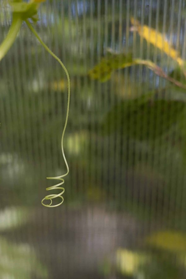 How to Approach Exercise for Individuals with Fibromyalgia?